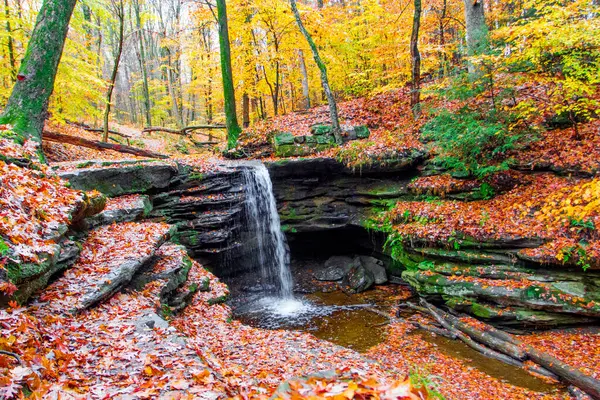 Sonbaharda Dundee Şelalesi manzarası, Beach City Wilderness Area, Ohio