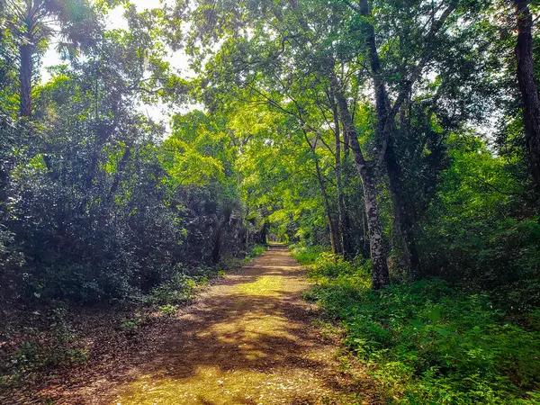 Görünümler Apopka Gölü Döngü Yolu, Florida