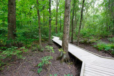 Blacklick Metro Parkı, Reynoldsburg, Ohio