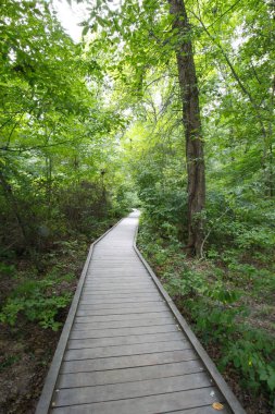 Blacklick Metro Parkı, Reynoldsburg, Ohio