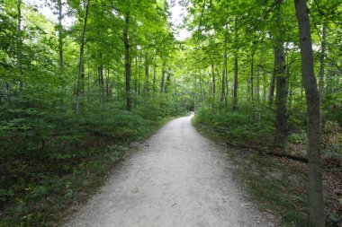 Blacklick Metro Parkı, Reynoldsburg, Ohio