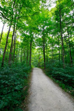 Blacklick Metro Parkı, Reynoldsburg, Ohio