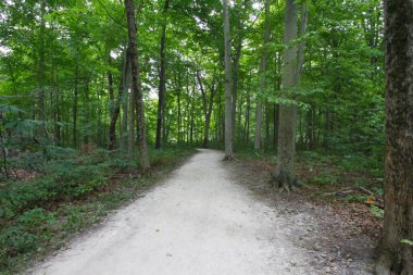 Blacklick Metro Parkı, Reynoldsburg, Ohio