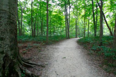 Blacklick Metro Parkı, Reynoldsburg, Ohio