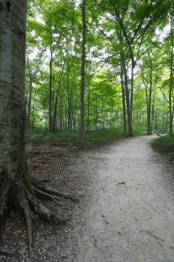 Blacklick Metro Parkı, Reynoldsburg, Ohio