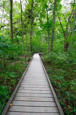 Blacklick Metro Parkı, Reynoldsburg, Ohio