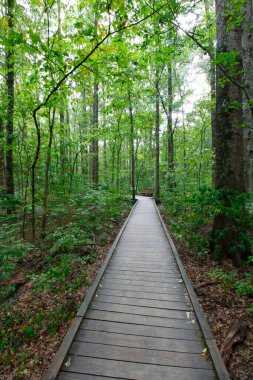 Blacklick Metro Parkı, Reynoldsburg, Ohio