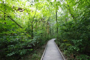 Blacklick Metro Parkı, Reynoldsburg, Ohio