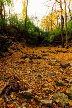Sonbaharda Indian Village Canyon, Duranceau Park, Columbus, Ohio