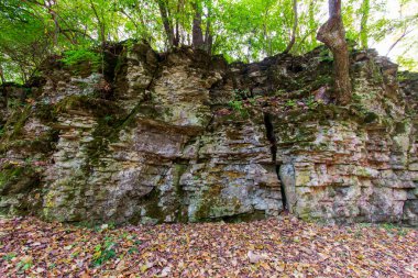 View of Indian Village Canyon in Autumn, Duranceau Park, Columbus, Ohio clipart