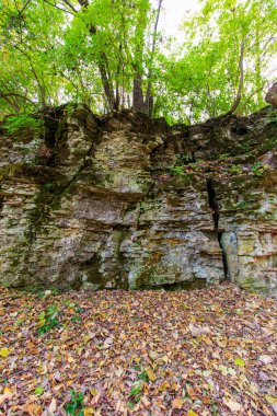 Sonbaharda Indian Village Canyon, Duranceau Park, Columbus, Ohio