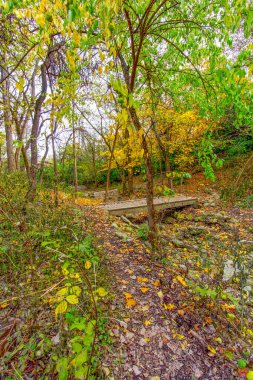 Sonbaharda Indian Village Canyon, Duranceau Park, Columbus, Ohio