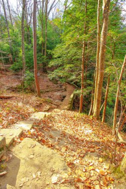 Cantwell Kayalıkları, Hocking Hills Eyalet Parkı, Ohio