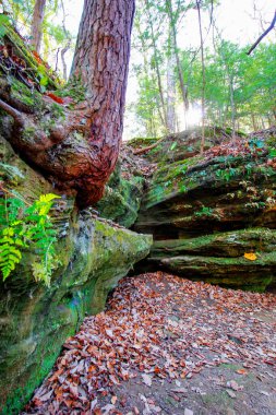 Rockhouse manzaralı, Hocking Hills State Park, Ohio