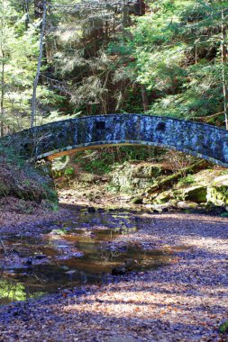Yaşlı Adam 'ın Mağarası, Hocking Hills Eyalet Parkı, Ohio