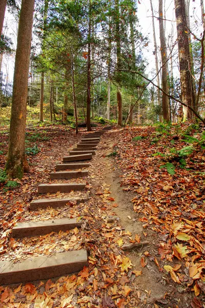 Cantwell Kayalıkları, Hocking Hills Eyalet Parkı, Ohio