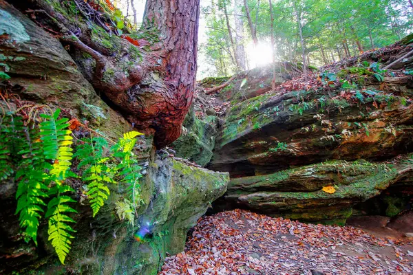 stock image View of Rockhouse, Hocking Hills State Park, Ohio