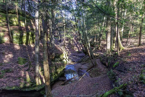 stock image Views at Cedar Falls Unit, Hocking Hills State Park, Ohio