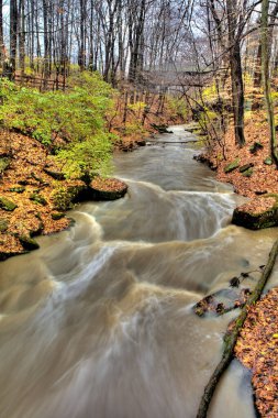 David Fortier River Park, Olmstead Falls, Ohio 'da Sonbahar Manzarası
