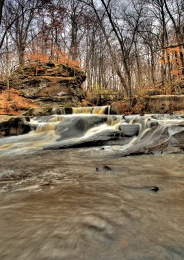 David Fortier River Park, Olmstead Falls, Ohio 'da Sonbahar Manzarası