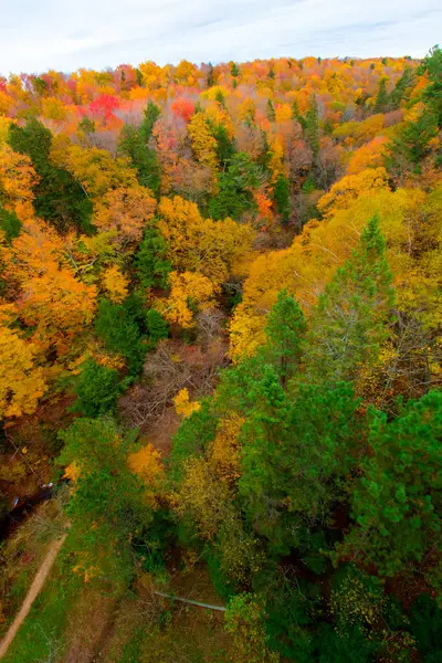 Sonbaharda, Michigan 'daki Cut River Vadisi' ne