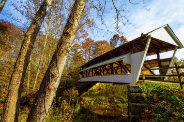 Sonbaharda Mink Hollow Köprüsü, Arney Run Parkı, Lancaster, Ohio