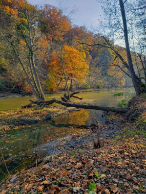 Views at Highbanks Metro park, River Bluff Area, in Autumn, Columbus, Ohio clipart