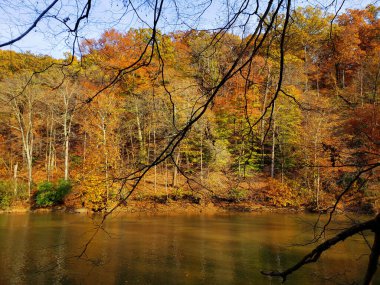 Highbanks Metro Parkı, River Bluff Alanı, Autumn, Columbus, Ohio