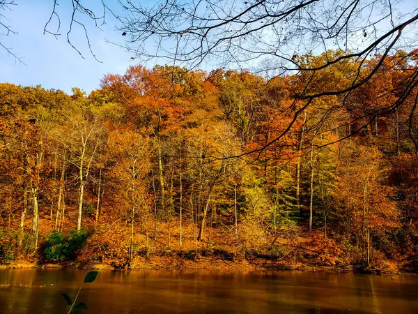 Highbanks Metro Parkı, River Bluff Alanı, Autumn, Columbus, Ohio