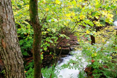 Güz, Dublin, Ohio 'daki Indian Run Falls Parkı