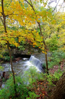 Güz, Dublin, Ohio 'daki Indian Run Falls Parkı