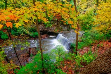 Güz, Dublin, Ohio 'daki Indian Run Falls Parkı