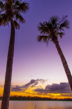 View of Sunset at Lake Zobel, George LeStrange Preserve, Fort Pierce, Florida clipart