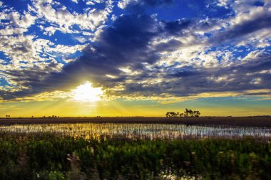Güney Florida Ranchland Manzarası Akşam Görülüyor