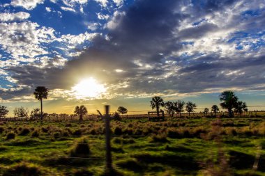 Güney Florida Ranchland Manzarası Akşam Görülüyor