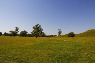 Cahokia Tepeleri Eyalet Tarihi Alanı, Collinsville, Illinois