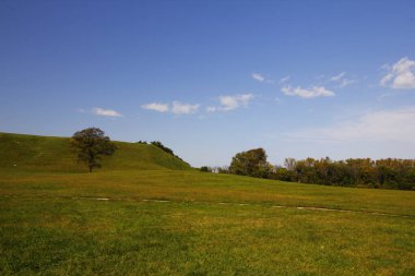 Cahokia Tepeleri Eyalet Tarihi Alanı, Collinsville, Illinois