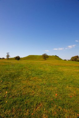 Cahokia Tepeleri Eyalet Tarihi Alanı, Collinsville, Illinois