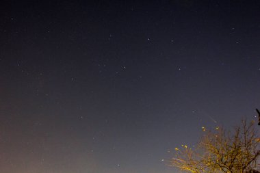Comet Tsuchinshan-Atlas in the Early Night Sky, Dublin, Ohio