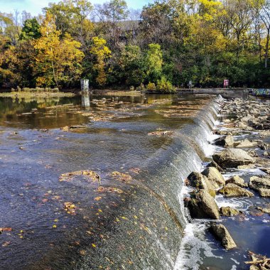 Olentangy Nehri 'ndeki Baraj, The Wilma H. Schiermeier Olentangy Nehri Wetland Araştırma Parkı, Columbus, Ohio
