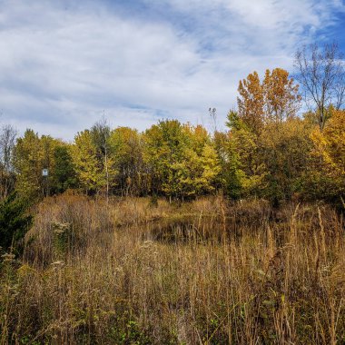 Bio Reserve Pond in Autumn, The Wilma H. Schiermeier Olentangy River Wetland Research Park, Columbus, Ohio clipart