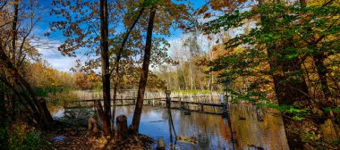 Experimental Wetlands in Autumn, The Wilma H. Schiermeier Olentangy River Wetland Research Park, Columbus, Ohio clipart