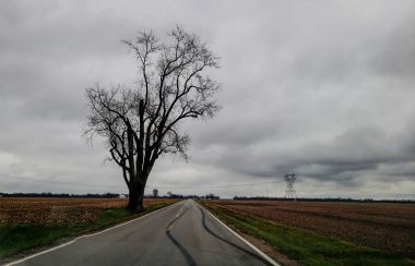Sonbaharda, Madison County, Ohio 'da Bulutlu bir günde Yalnız Ülke Yolu Manzarası