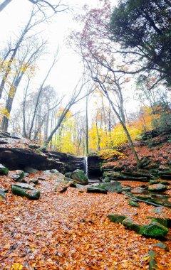 Sonbaharda Dundee Şelalesi manzarası, Beach City Wilderness Area, Ohio