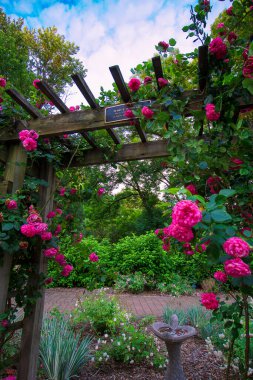 Güller Parkı, Columbus, Ohio Manzarası