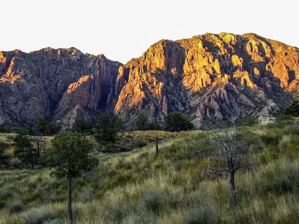 Pulliam Sırtı, Big Bend Ulusal Parkı, Teksas