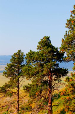 Bear Butte Eyalet Parkı, Güney Dakota Yazları