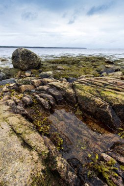 Gouldsboro Körfezi, Maine