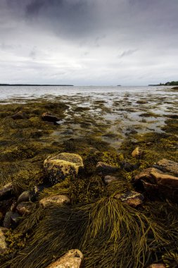 Gouldsboro Körfezi, Maine