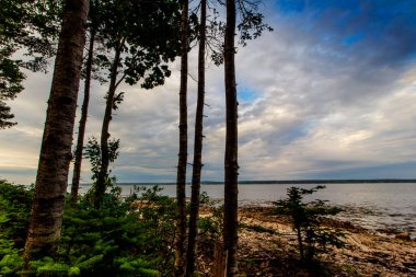 Maine 'deki Gouldsboro Körfezi' nde Sabah